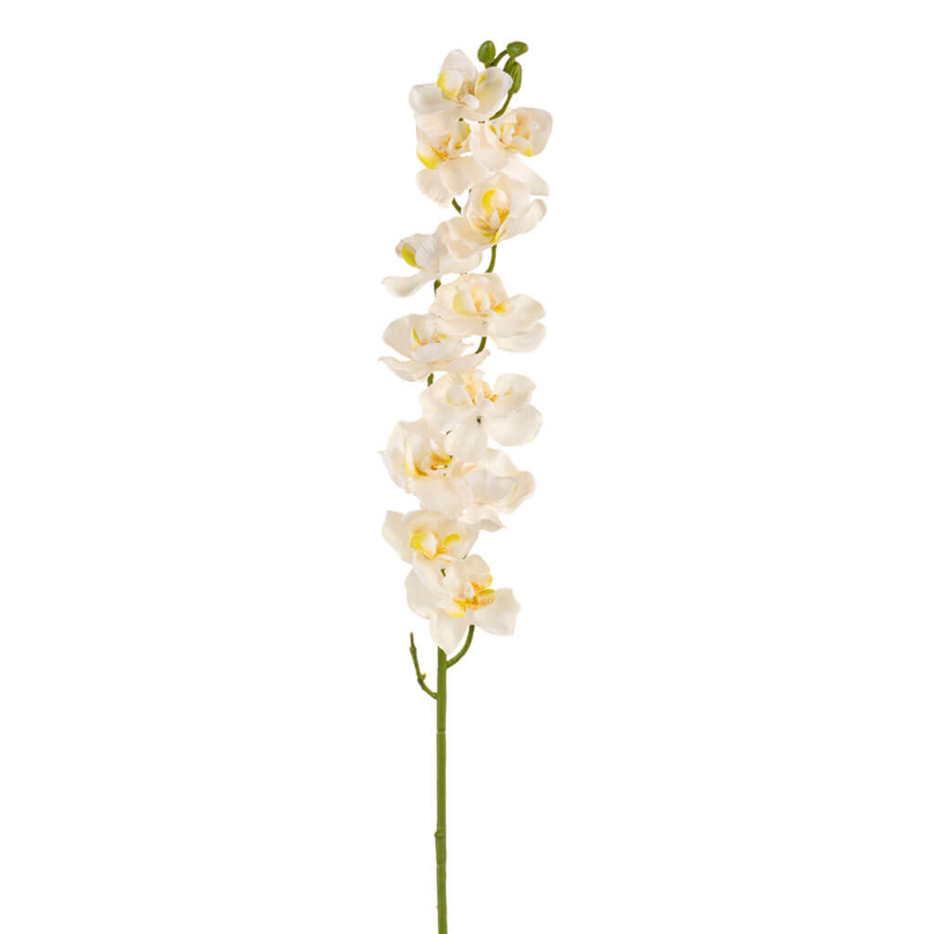 White Orchid Stem, 28.5in