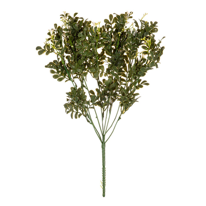 Boxwood With Berries Bush, 18.5in