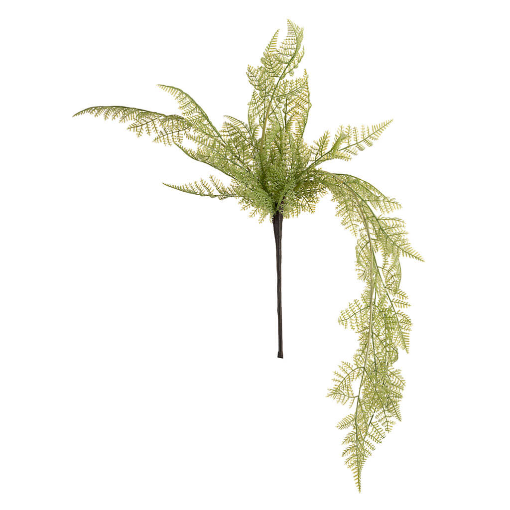 Hanging Fern Bush, 33in