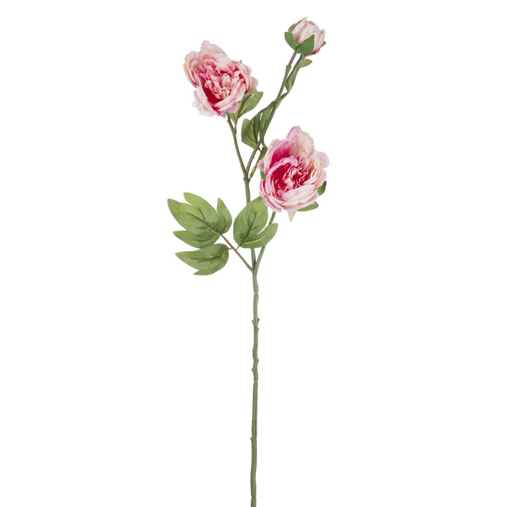 Light Pink Peony Spray, 27in