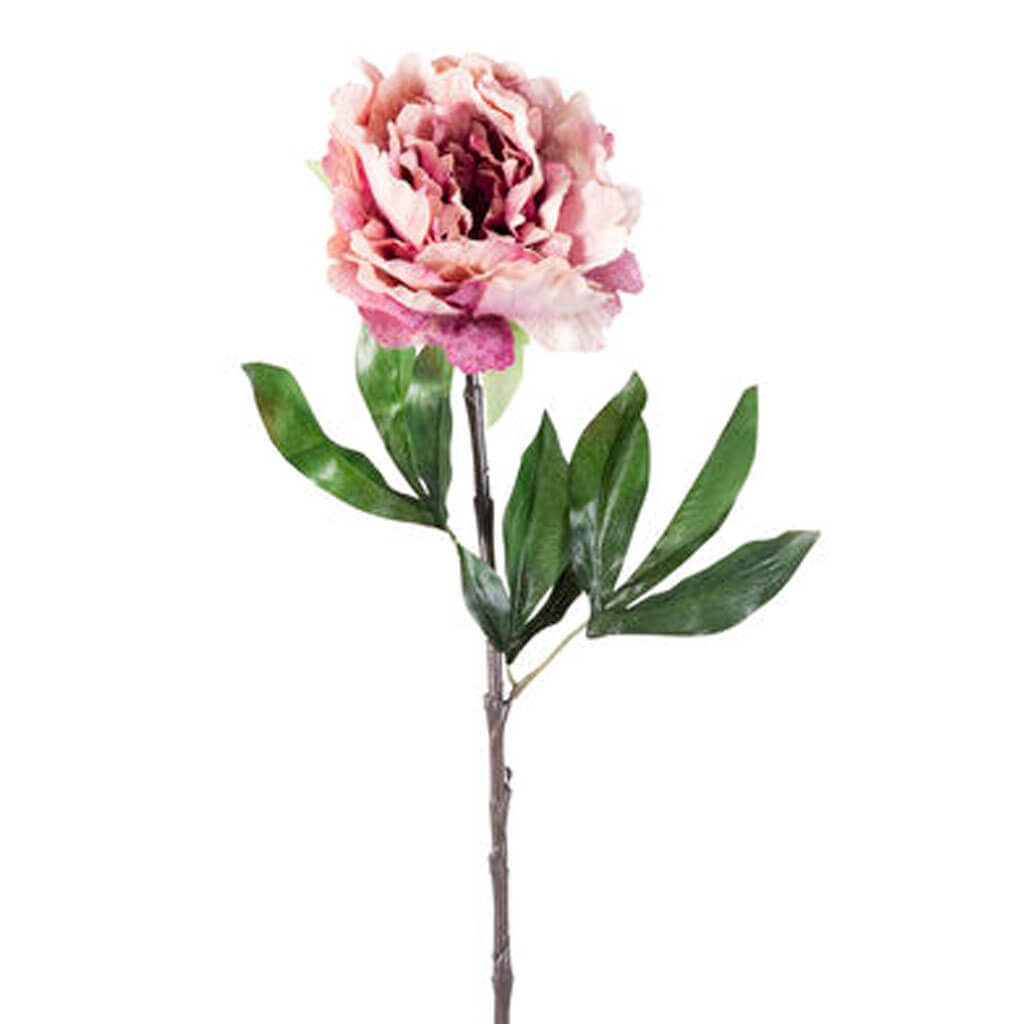 Pink Velvet Peony Stem, 28.5in