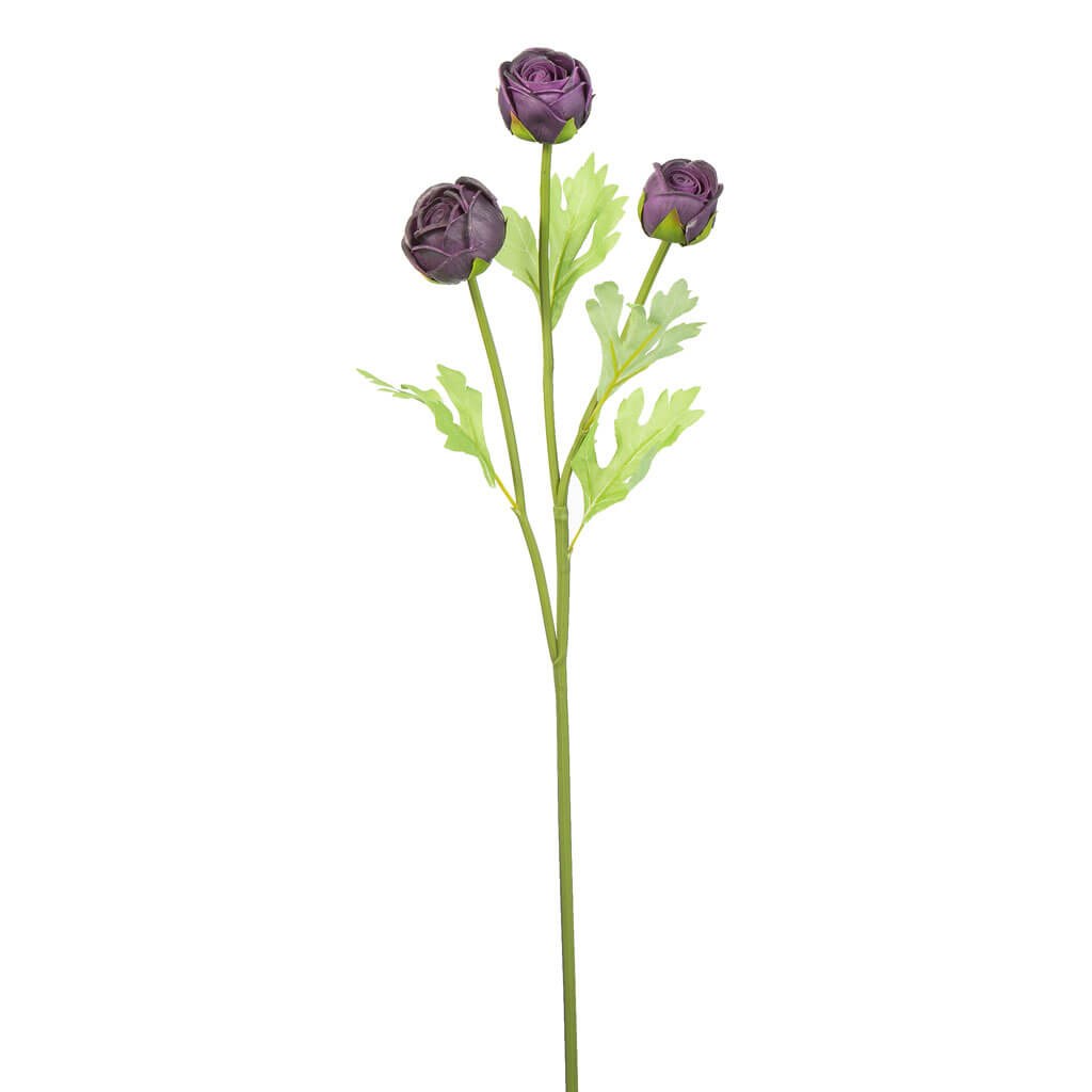 Purple Ranunculus Stem, 24.5in