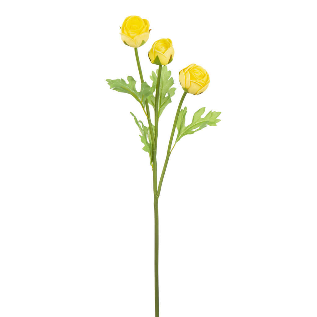 Yellow Ranunculus Stem, 23in