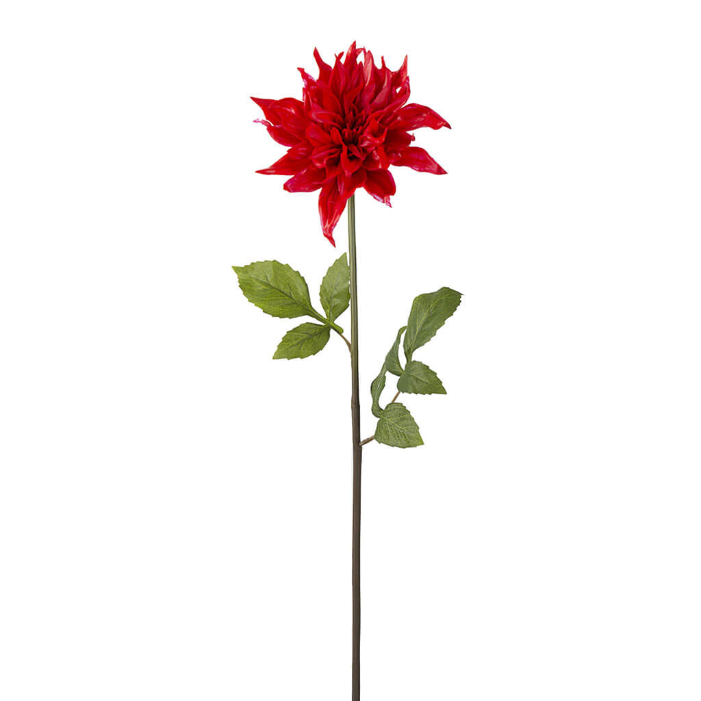 Red Dahlia Stem, 31in