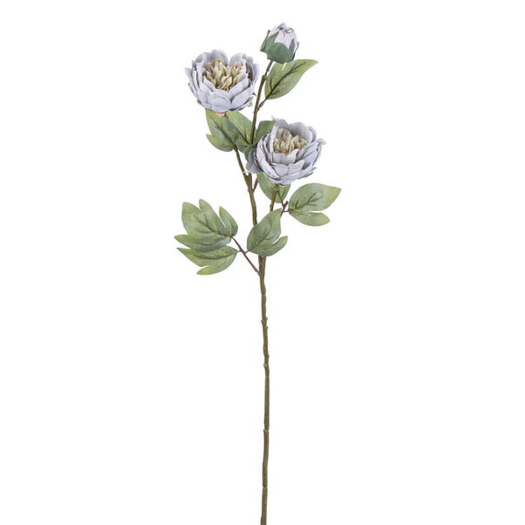 Gray Peony Stem, 27in