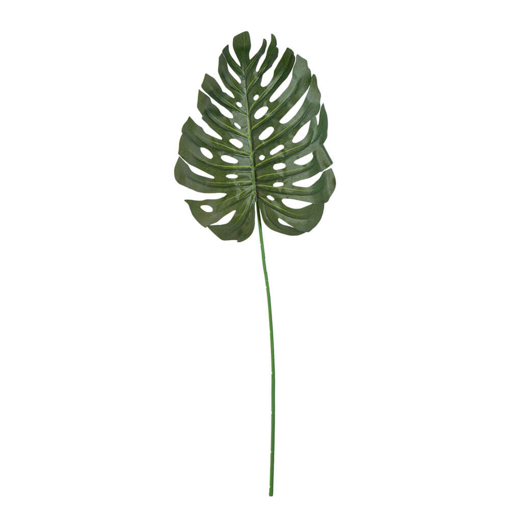 Palm Leaf Stem, 30in