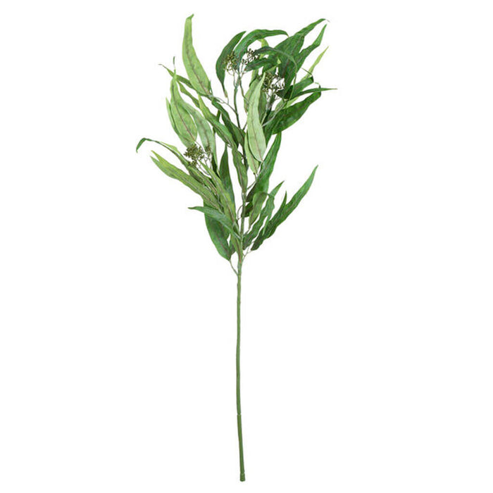 Willow Eucalyptus Stem, 34in