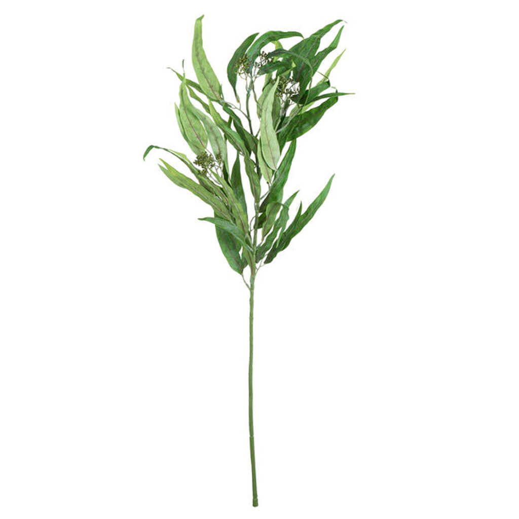 Willow Eucalyptus Stem, 34in