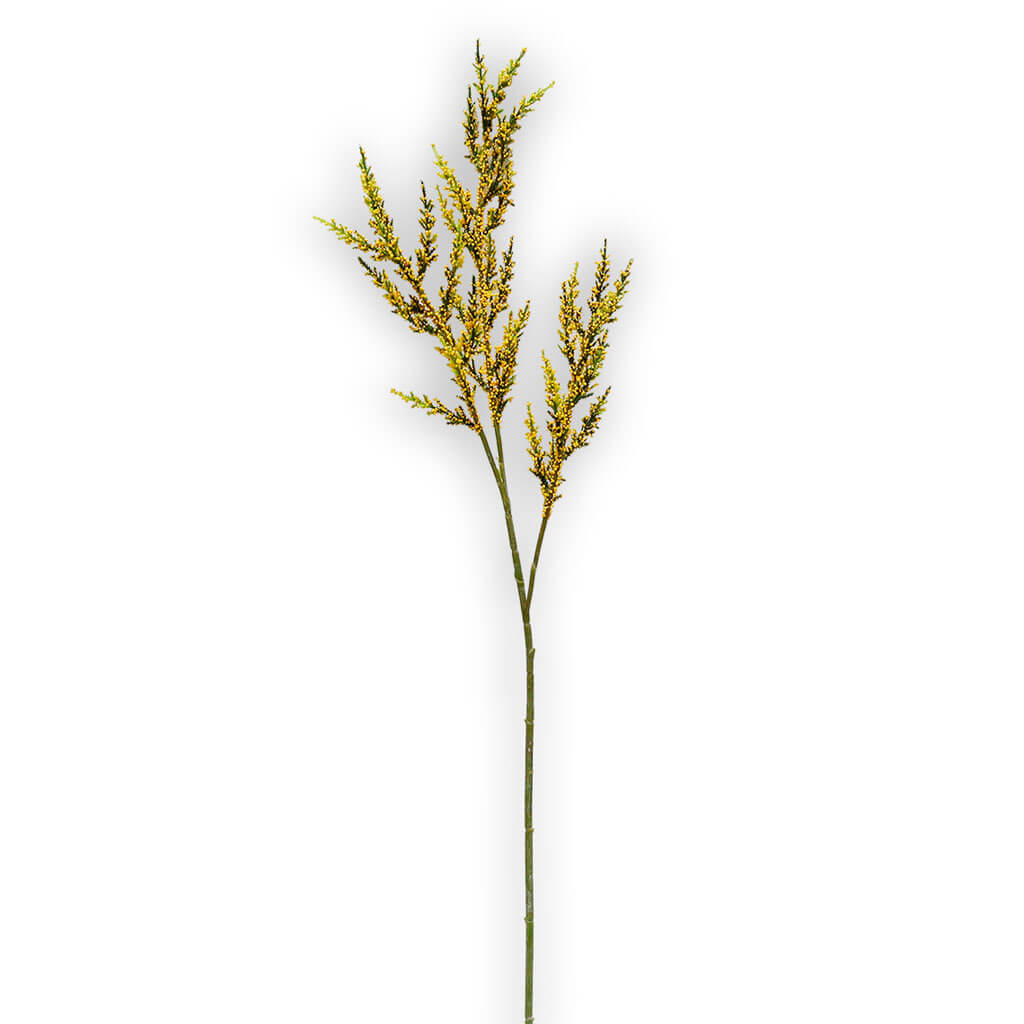 Goldenrod Stem, 31in