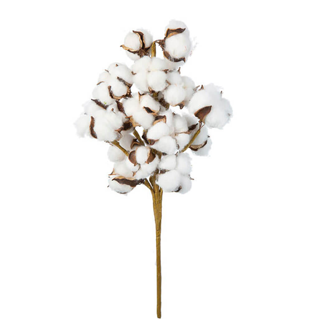 Cotton Stem, 17.5in