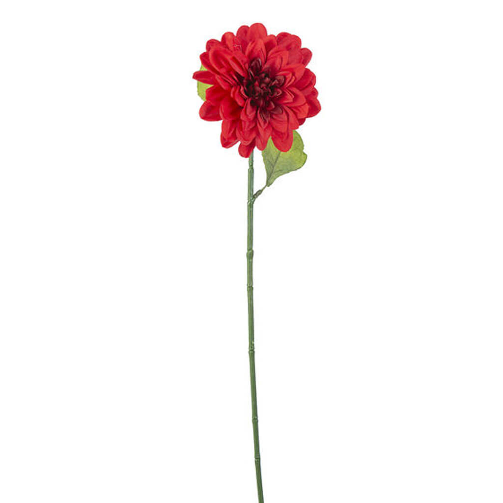 Red Dahlia Stem, 28in