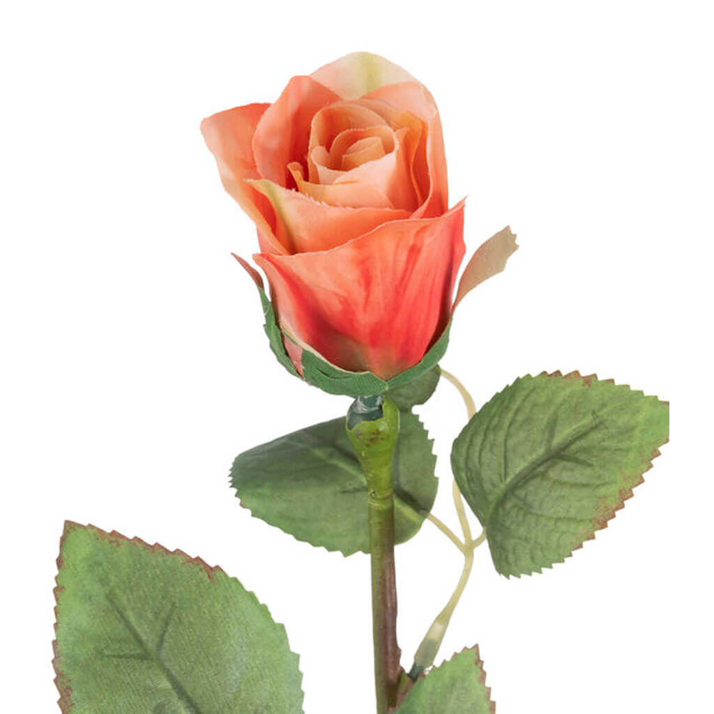 Peach Rose Bud Stem, 24.5in