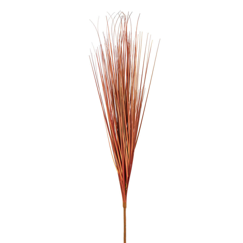 Red Onion Grass Bush