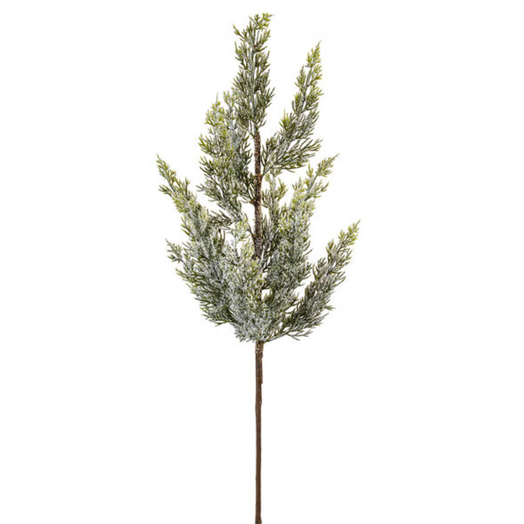 Green Cypress Stem, 25in