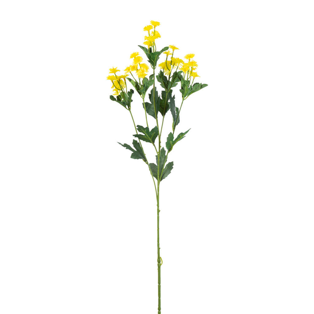 Spring Yellow Daisy Stem, 24in