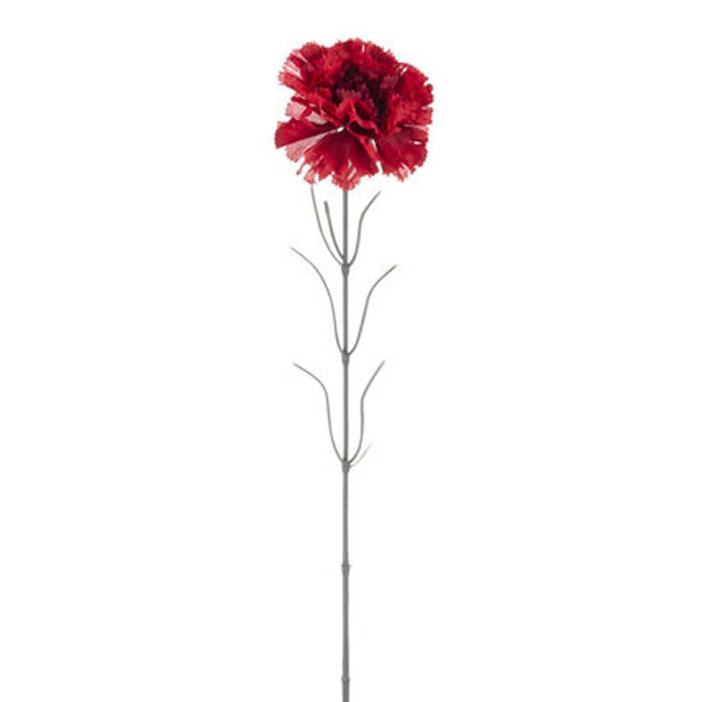 Red Carnation Stem, 24in