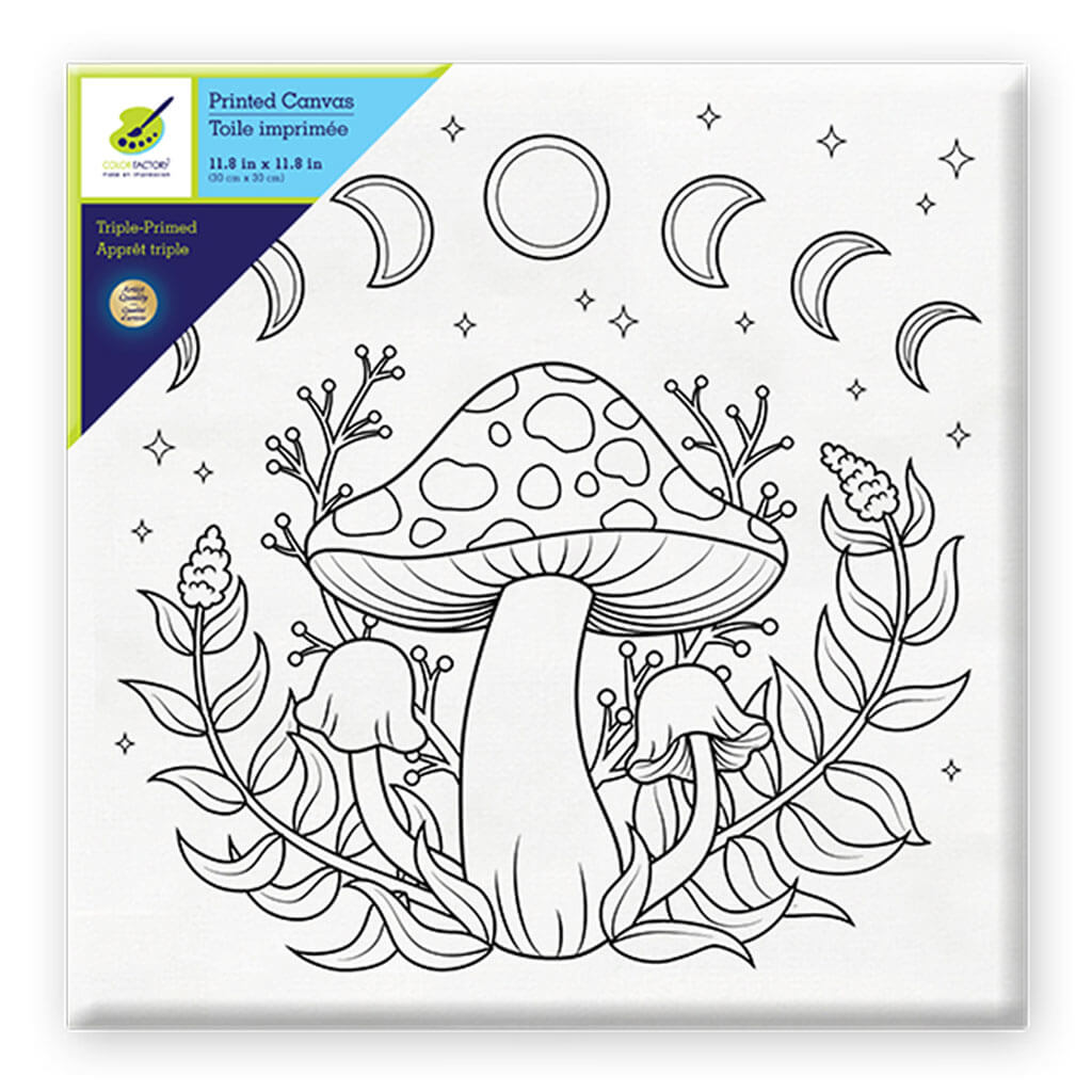 Stretch Artist Printed Canvas: 12in x 12in Primed Back-Stapled Mystical Mushroom