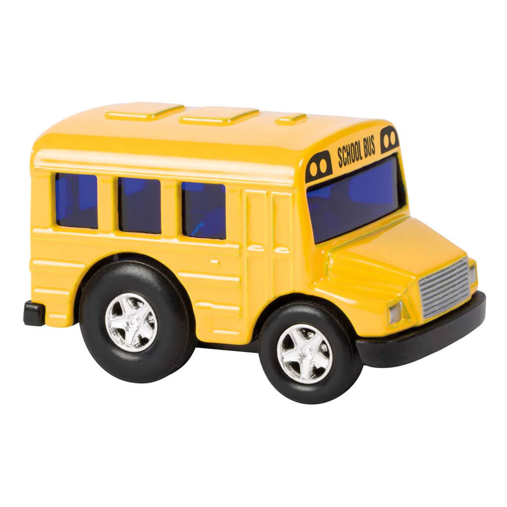 Mini School Bus