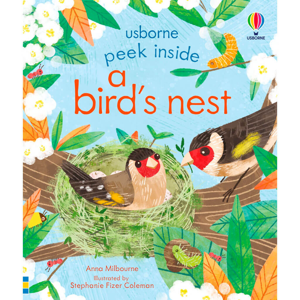 Peek Inside a Bird's Nest