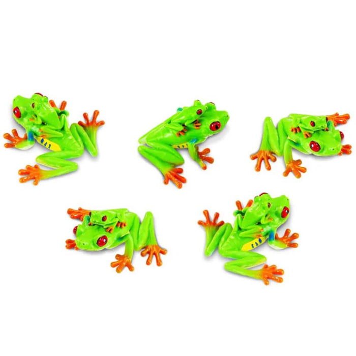 Red Eye Tree Frogs In Bin 