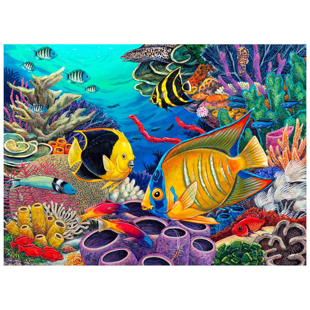 Paint by Number Jr Caribean Coral Reef