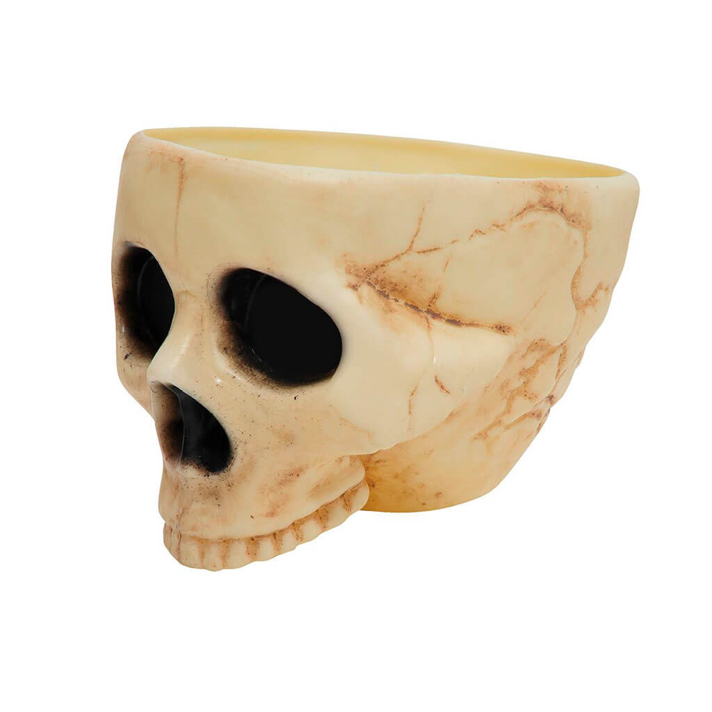 Mini Skull Pdq Planter Natural