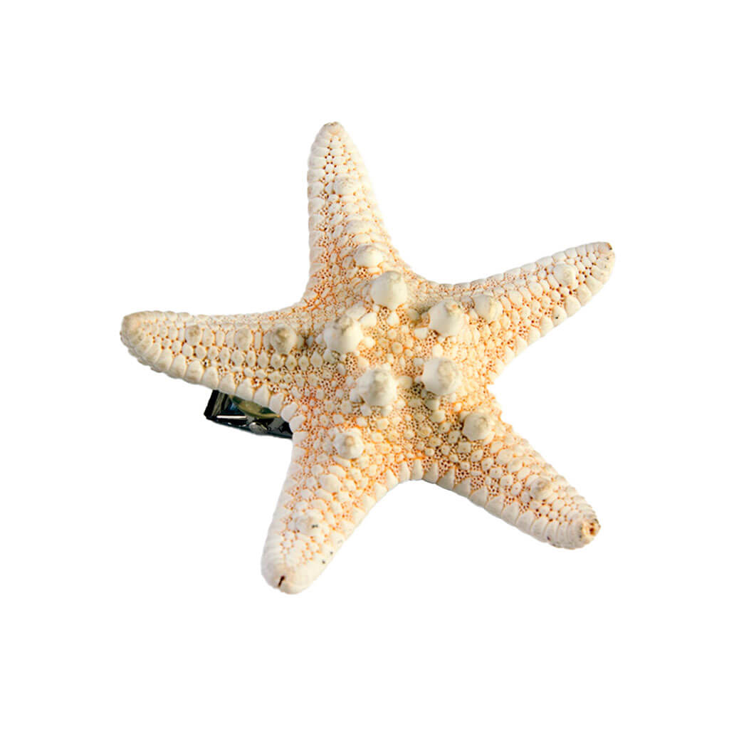 Mermaid Star Fish Hairclip