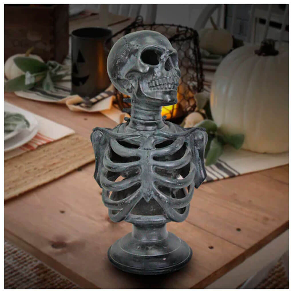 Light-Up Skeleton Torso, 12in