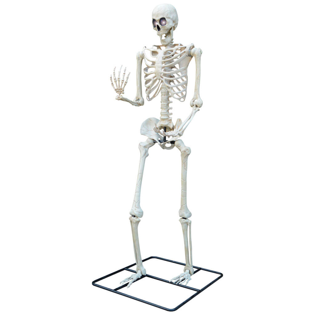 Standing Titan Light Up Skeleton, 10ft