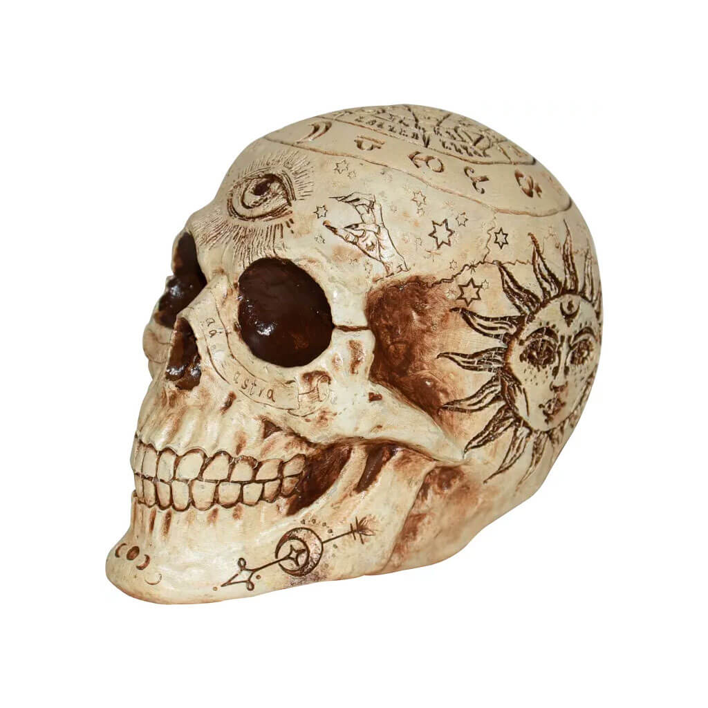 Fortune Telling Skull, 7in