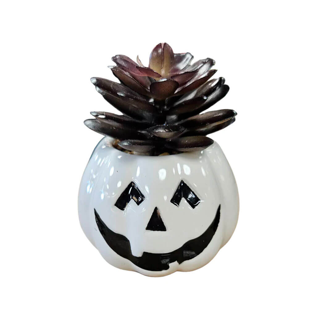 Ceramic Jack-o-Lantern Succulent