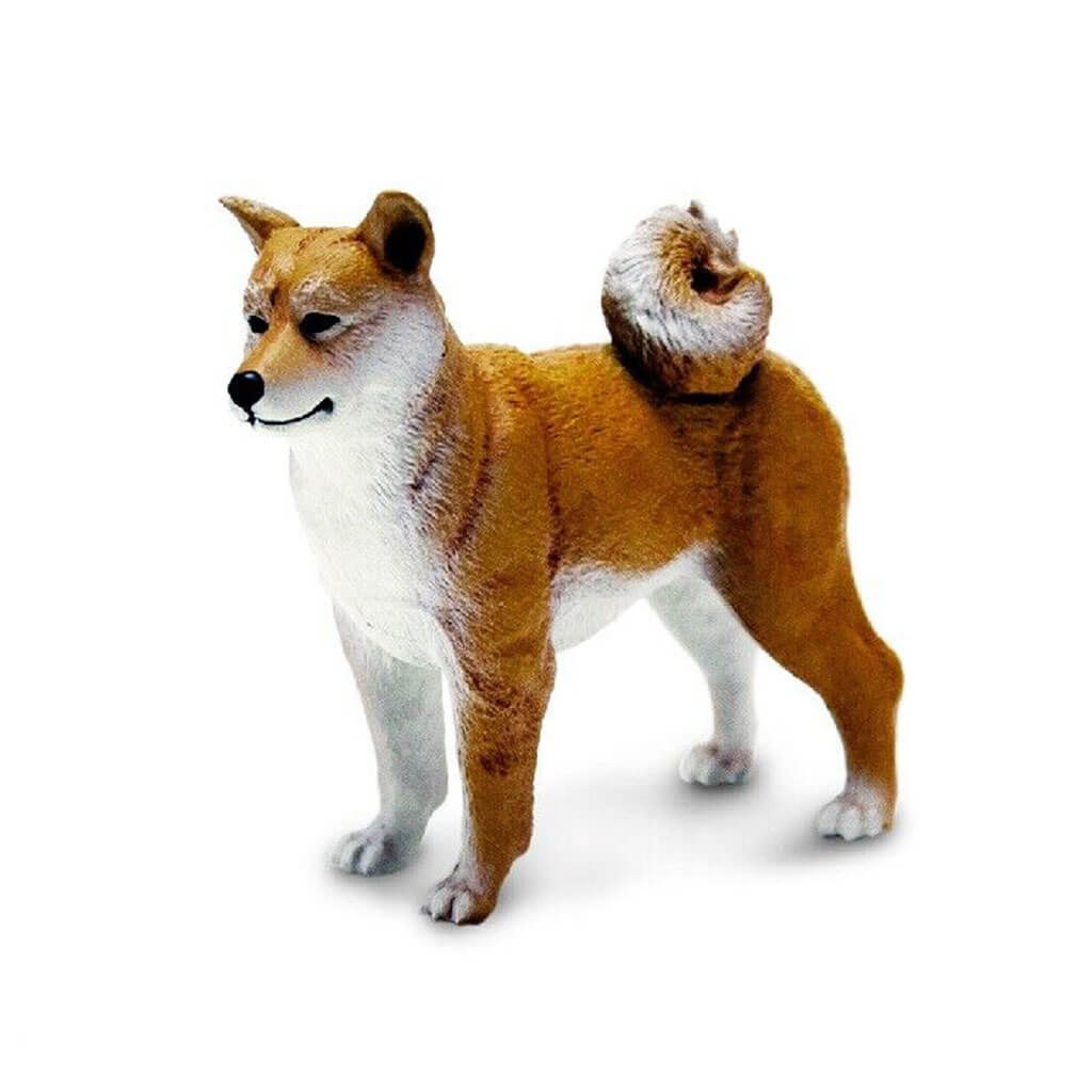 Shiba Inu