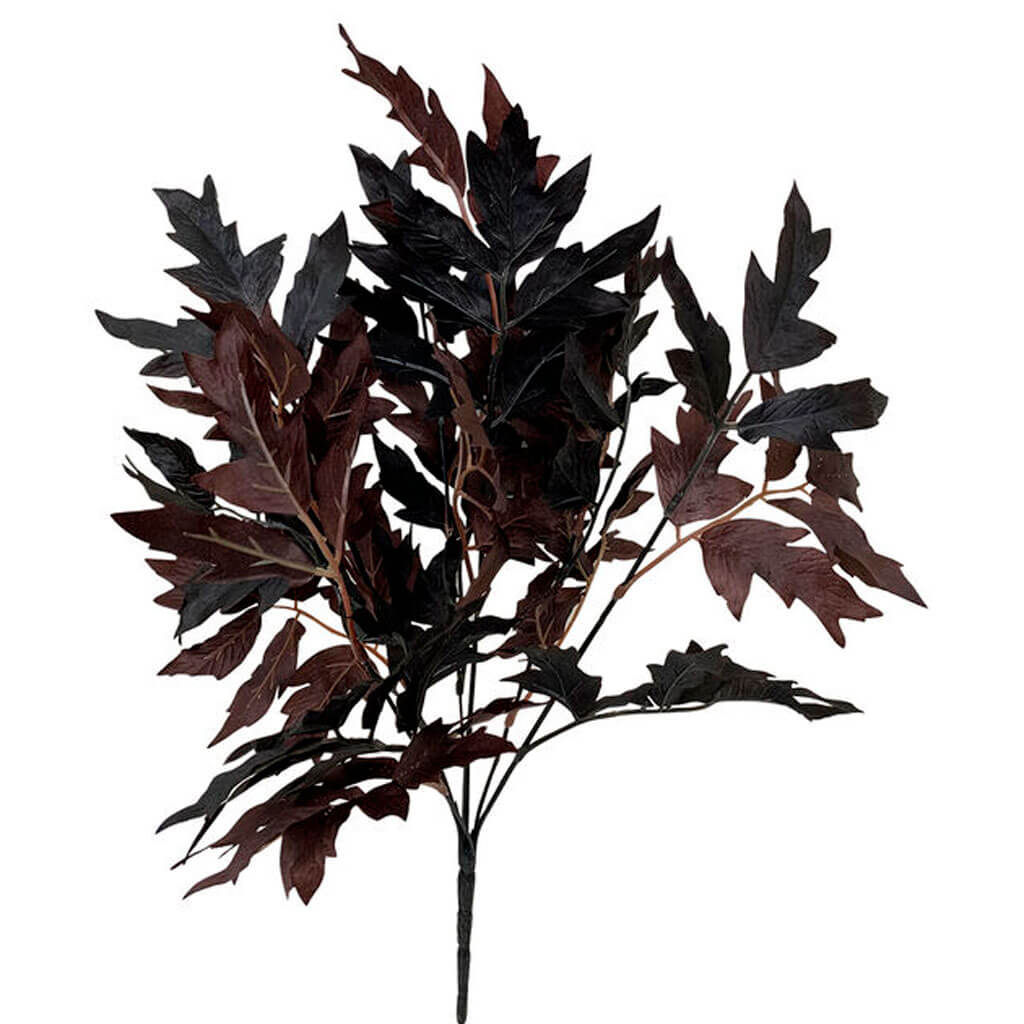 Halloween Burgundy &amp; Black Ramosa Leaf Bush 17in