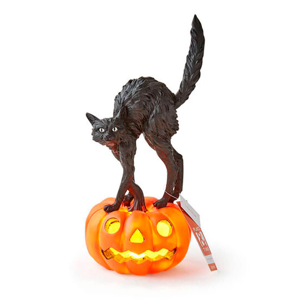 Halloween LED Black Cat on Jack O Lantern 13in