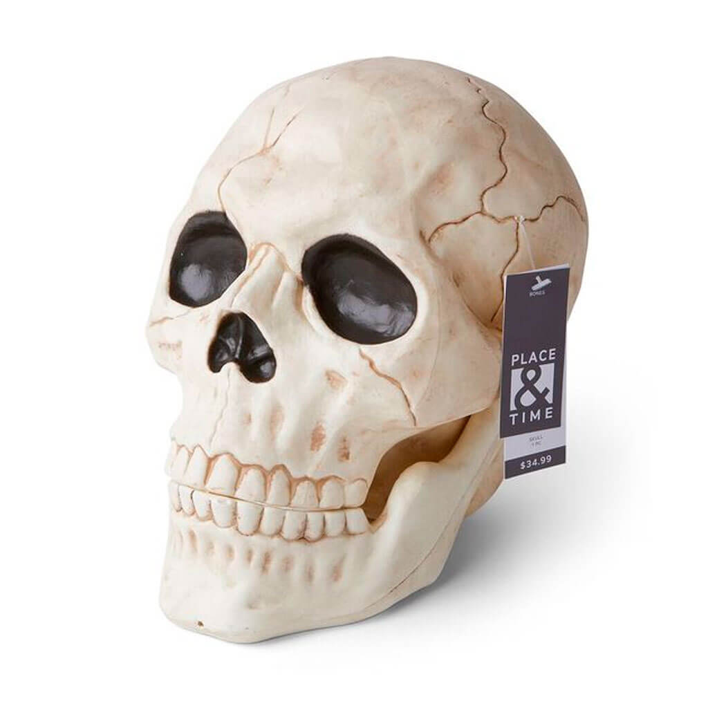 Halloween Skull with Movable Jaw 10in