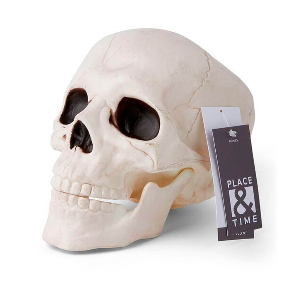 Halloween Skull with Movable Jaw 6in