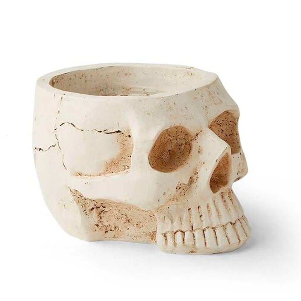 Halloween Textured Skull Container 4in