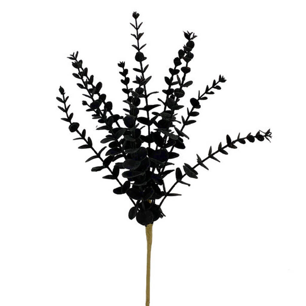 Halloween Black Eucalyptus Bush 17in