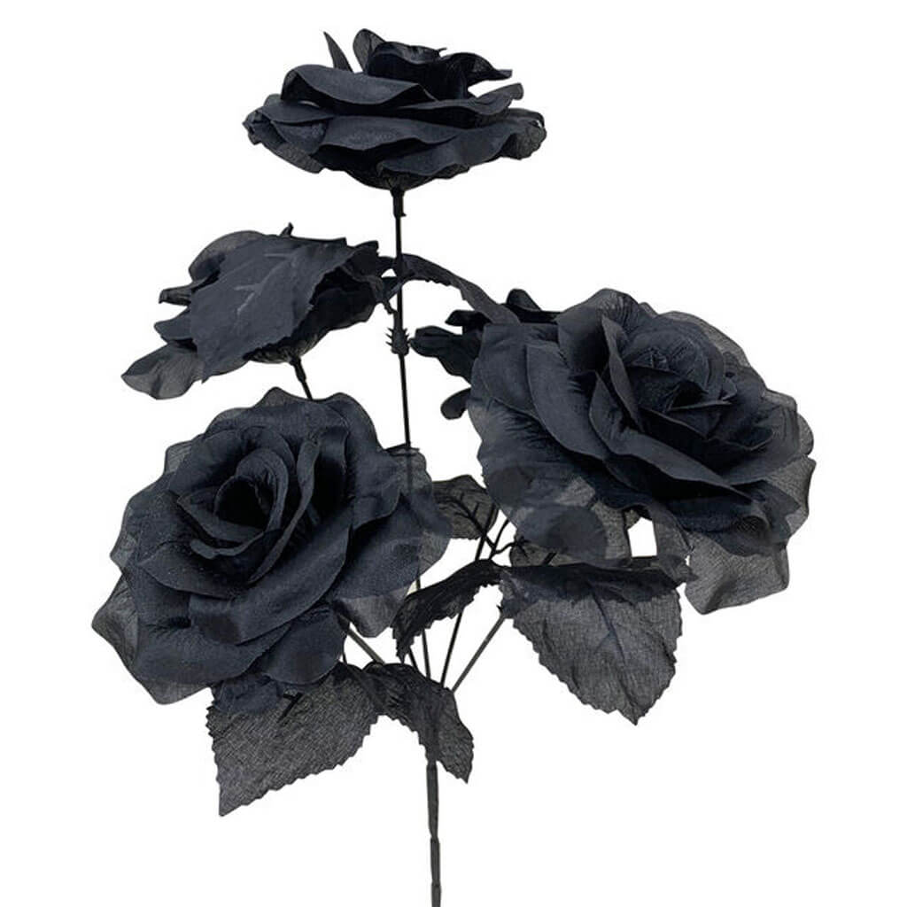 Halloween Black Rose Bush 14in