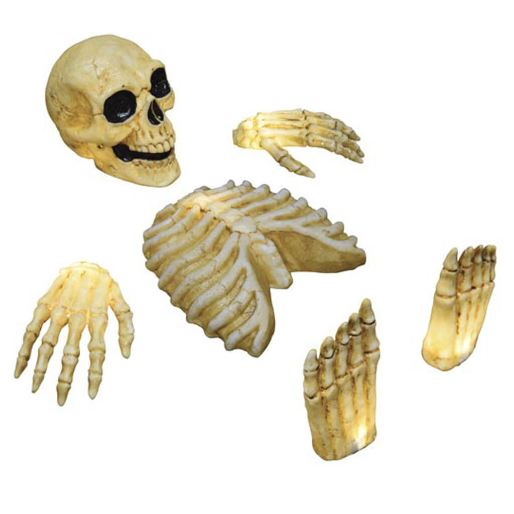 LU Skeleton Body Parts Yard Markers