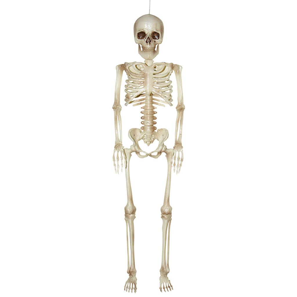 Skeleton, 16in