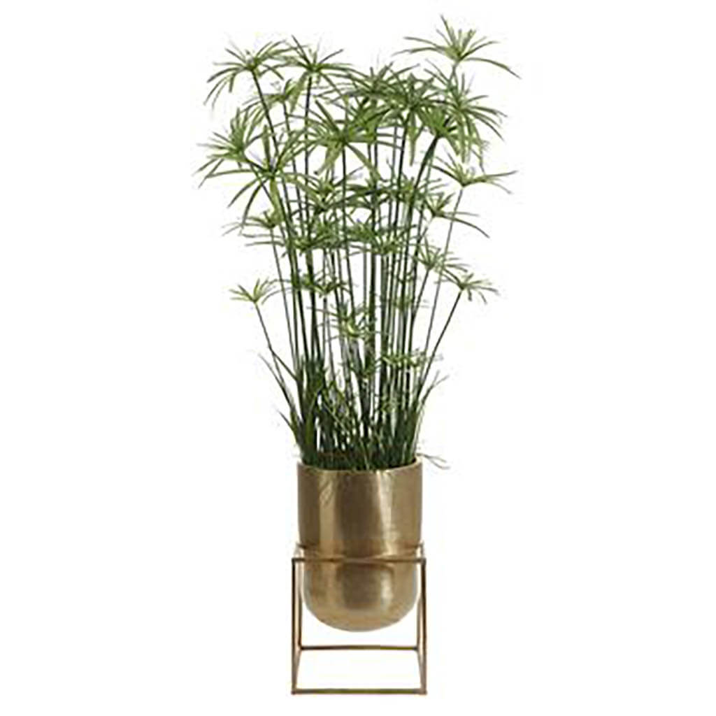 Cypress Grass Tree in Matte Planter With Stand Green