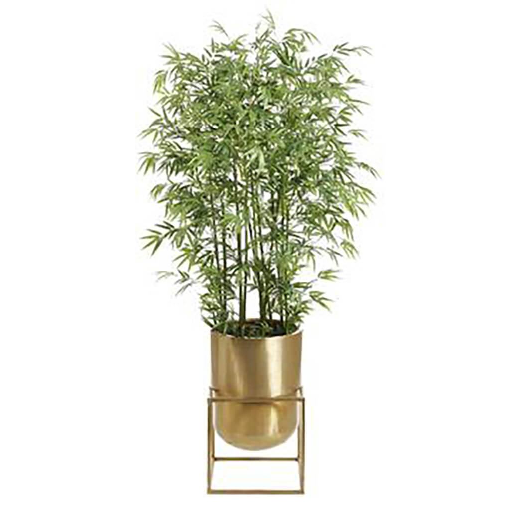 Bamboo Mini Green Stem in Matte Planter With Stand