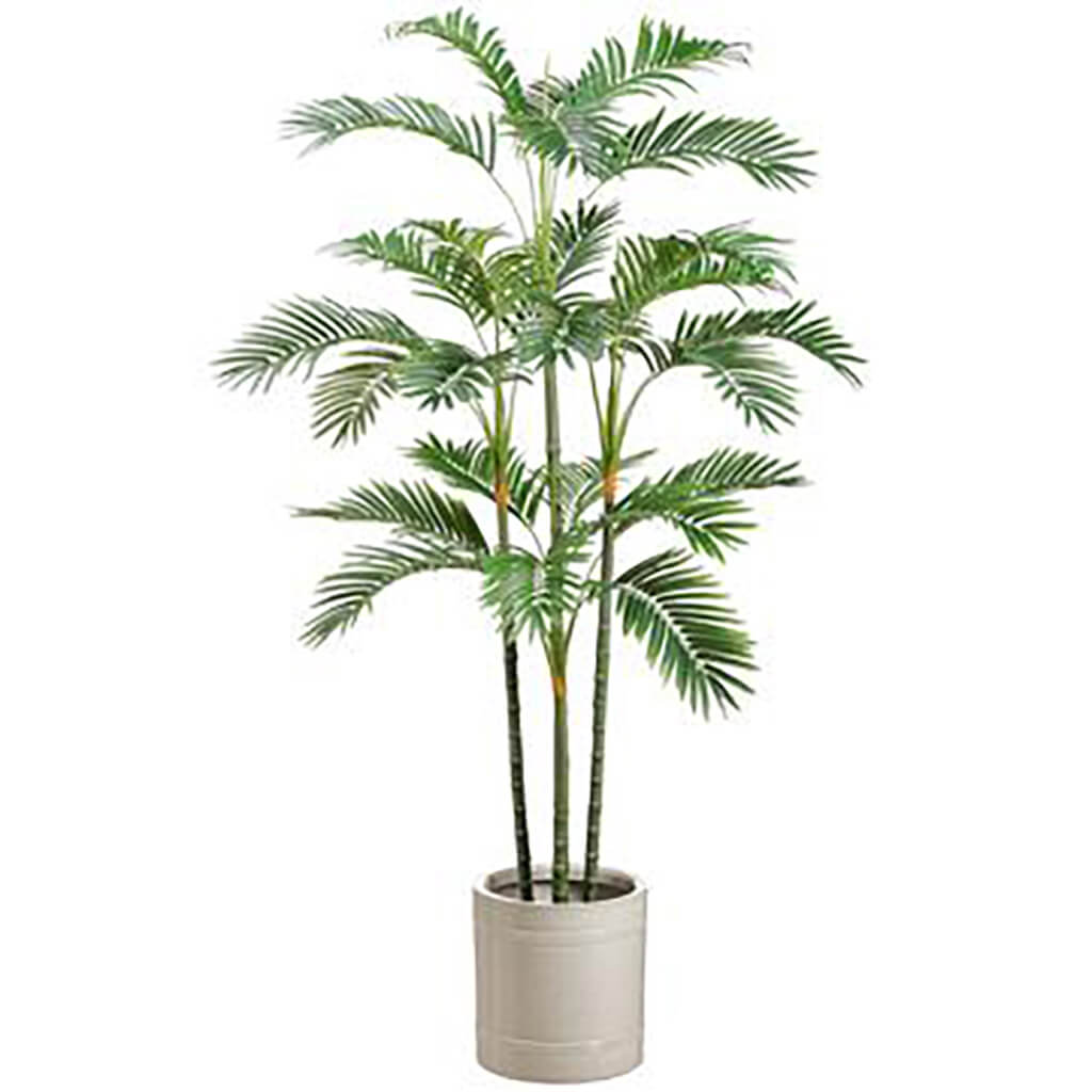 Areca Palm in White Pot Green White, 73in