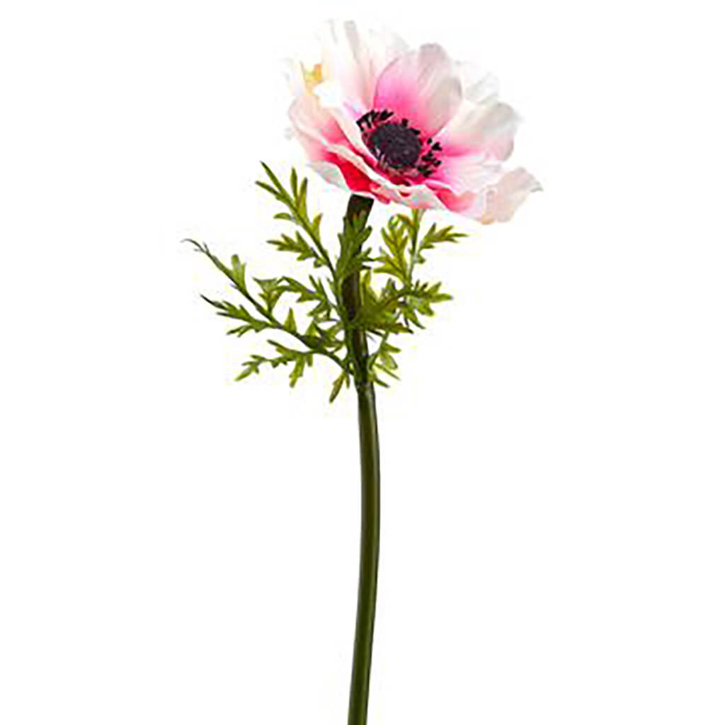 Anemone Spray White Pink, 17in