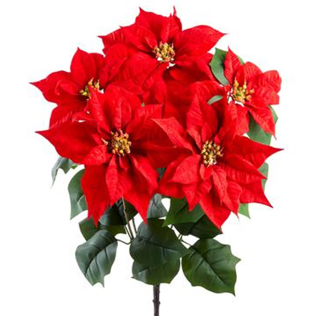 Hampton Poinsettia Bush Red, 24in