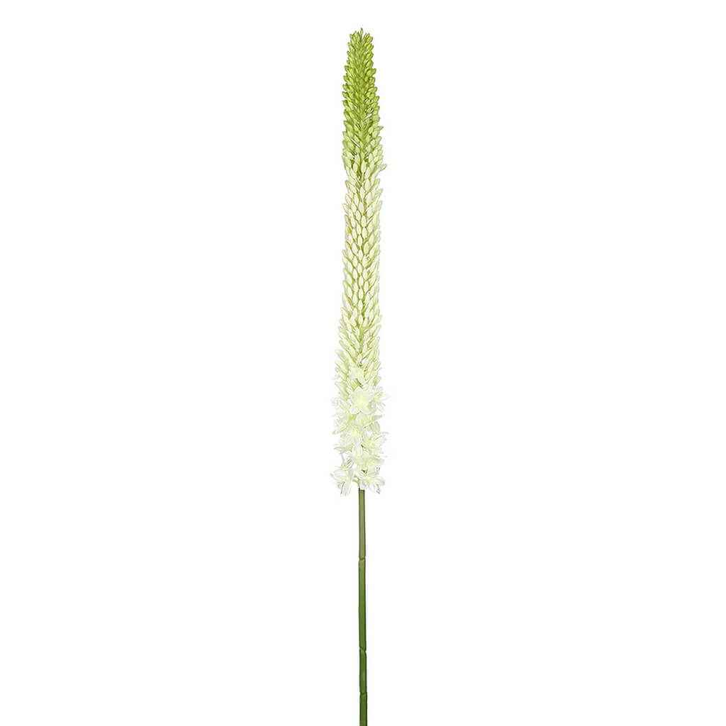 Foxtail Lily Spray White Green, 44in