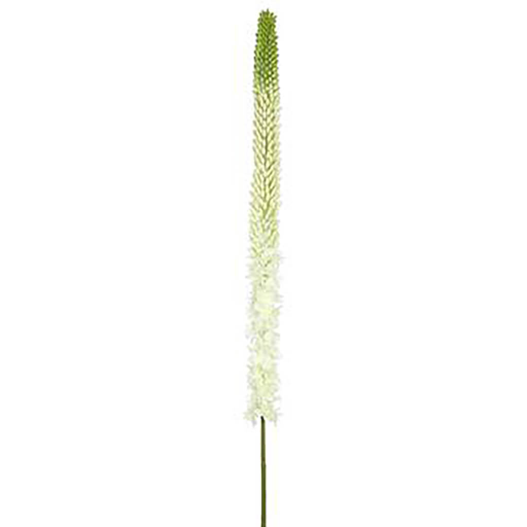 Foxtail Lily Spray White Green, 51in