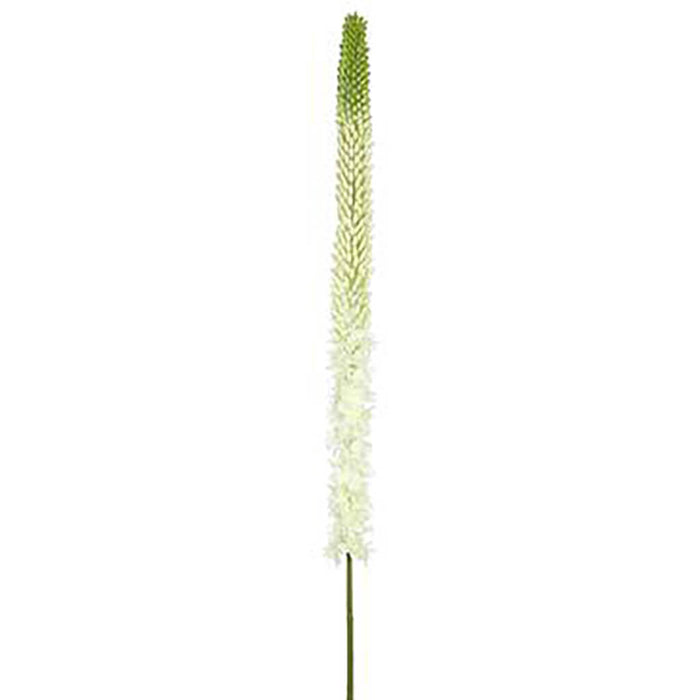 Foxtail Lily Spray White Green, 51in