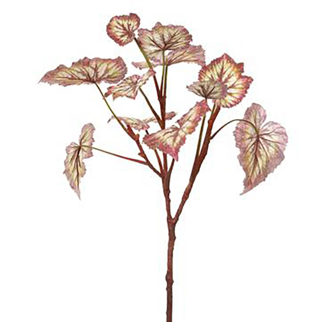 Begonia Leaf Spray Burgundy Green, 23in